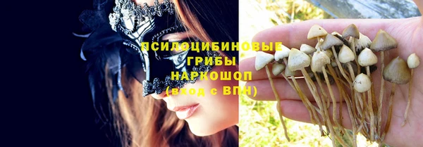прущая мука Арсеньев