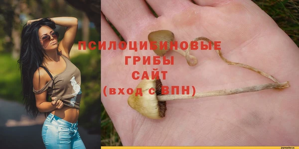 прущая мука Арсеньев