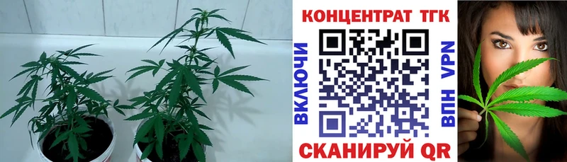 ОМГ ОМГ ССЫЛКА  Медынь  Дистиллят ТГК жижа 